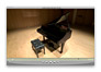 V-Piano Grand - Overview
